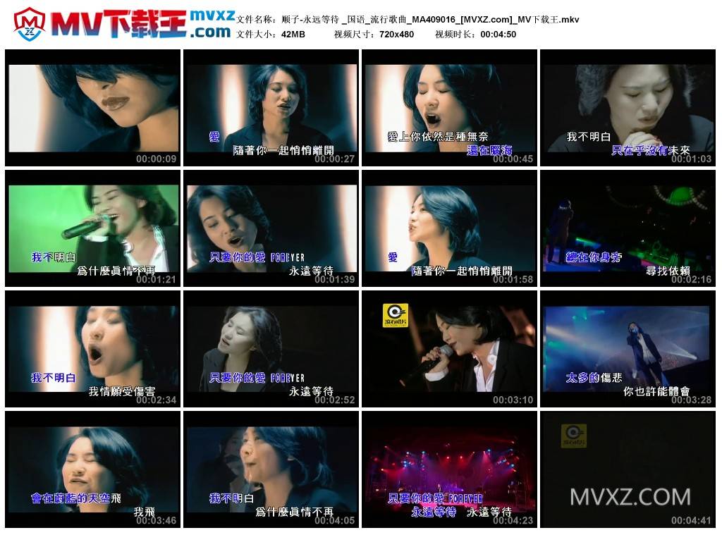 顺子-永远等待 _国语_流行歌曲_MA409016